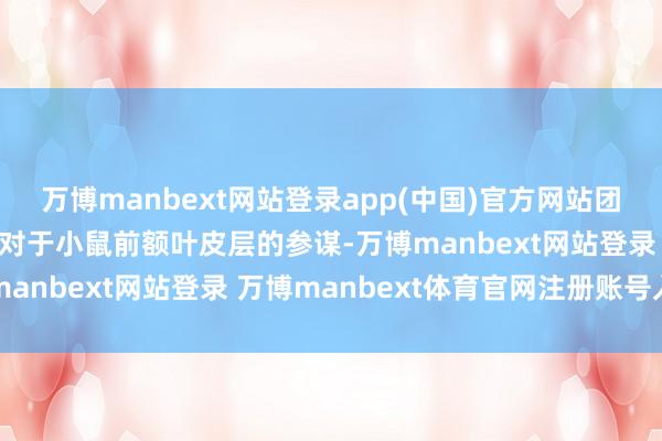 万博manbext网站登录app(中国)官方网站团队曾在2022年发布了对于小鼠前额叶皮层的参谋-万博manbext网站登录 万博manbext体育官网注册账号入口